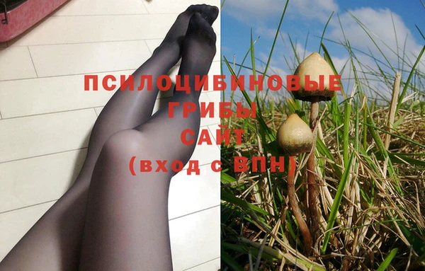 амф Зеленодольск