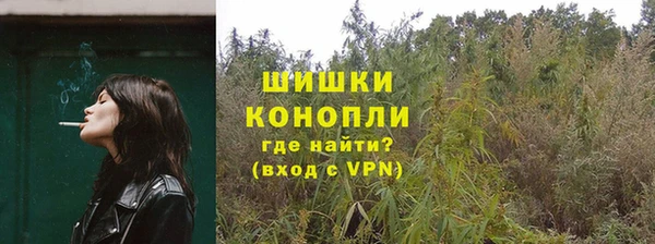 амф Зеленодольск