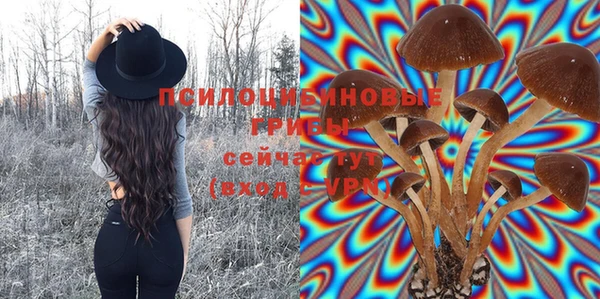 мяу мяу кристалл Зерноград