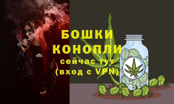 амф Зеленодольск